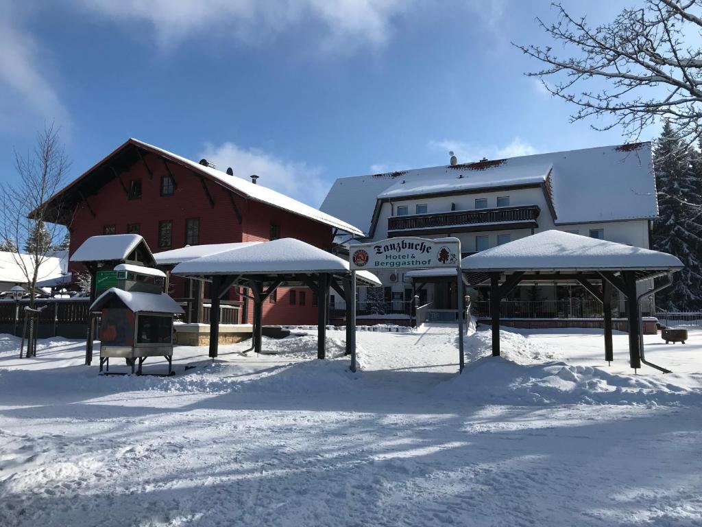 Tanzbuche