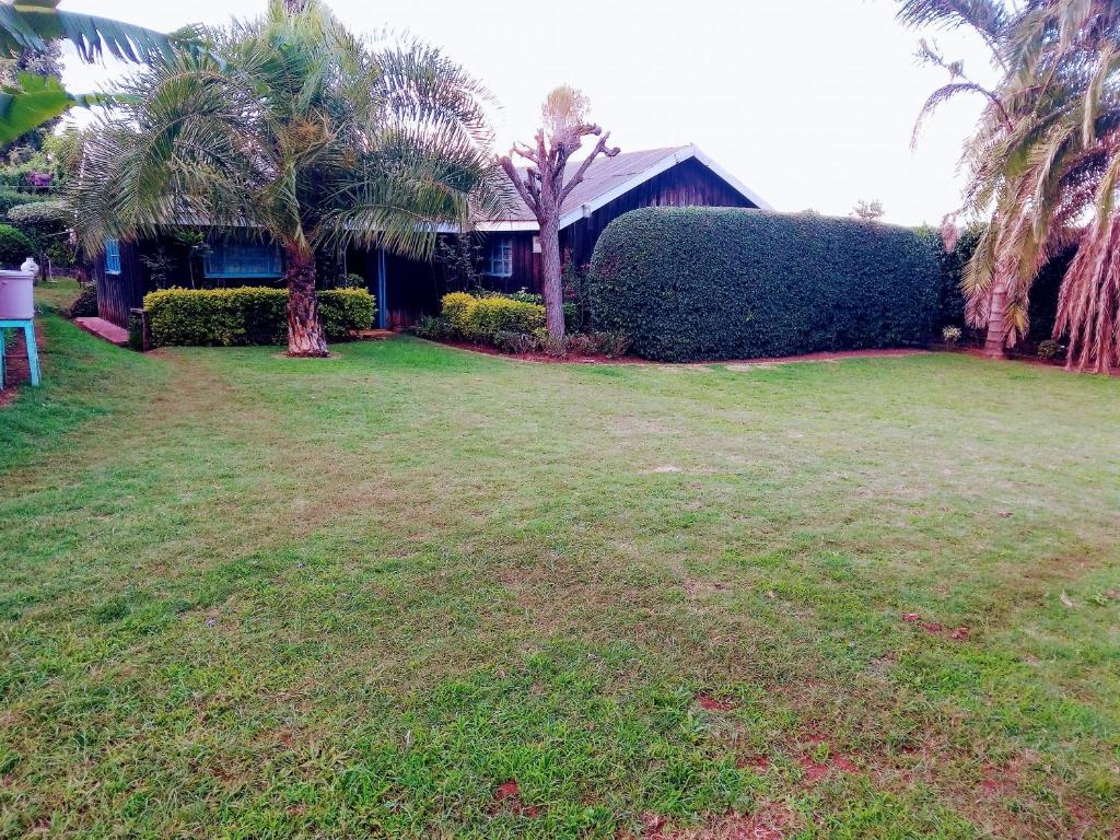 Green Field Loitokitok